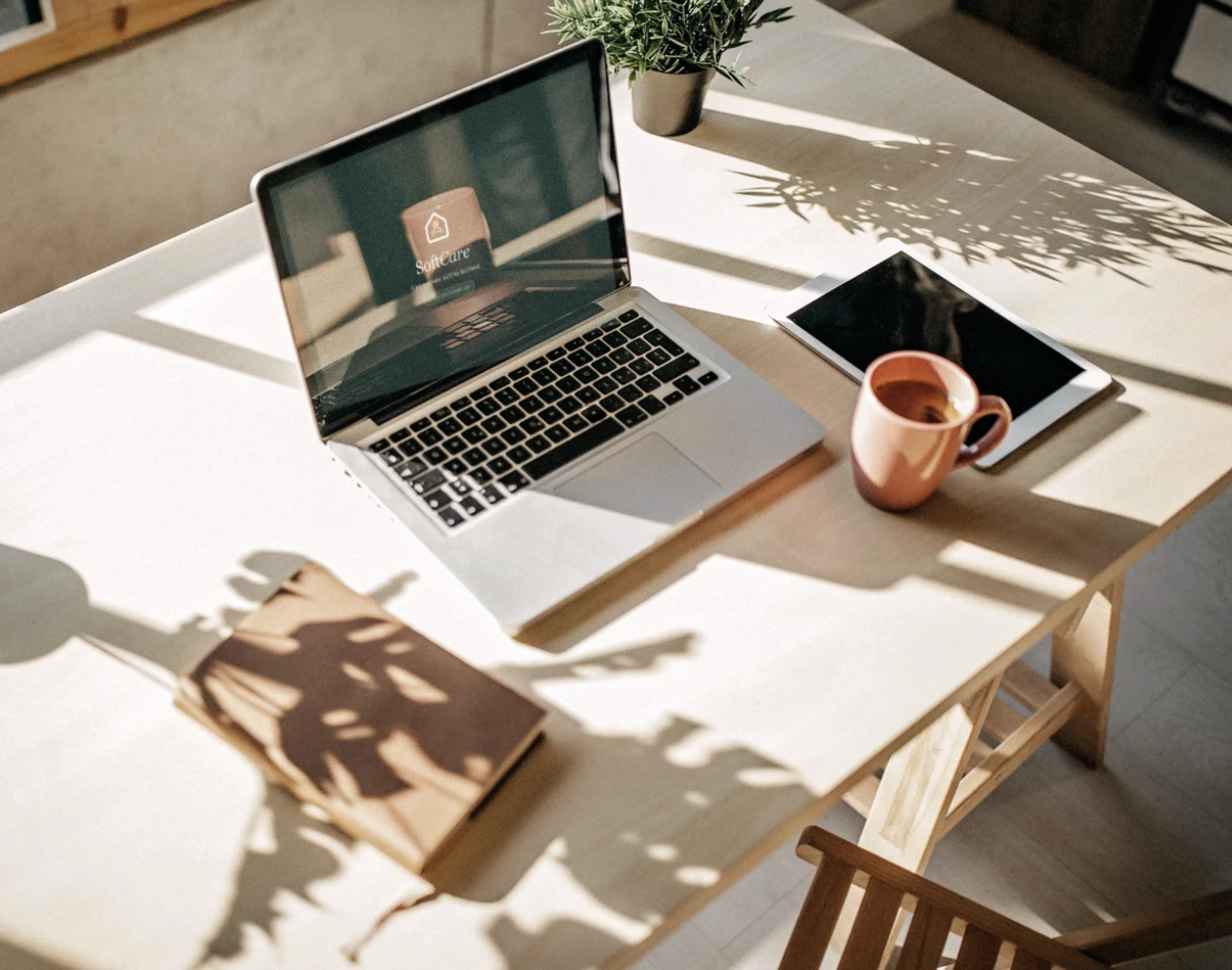 SoftCare open on a laptop on a sunlit desk, beside a cup of coffee
